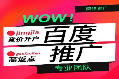 案例深度剖析：SEM网络推广助力企业业绩增长